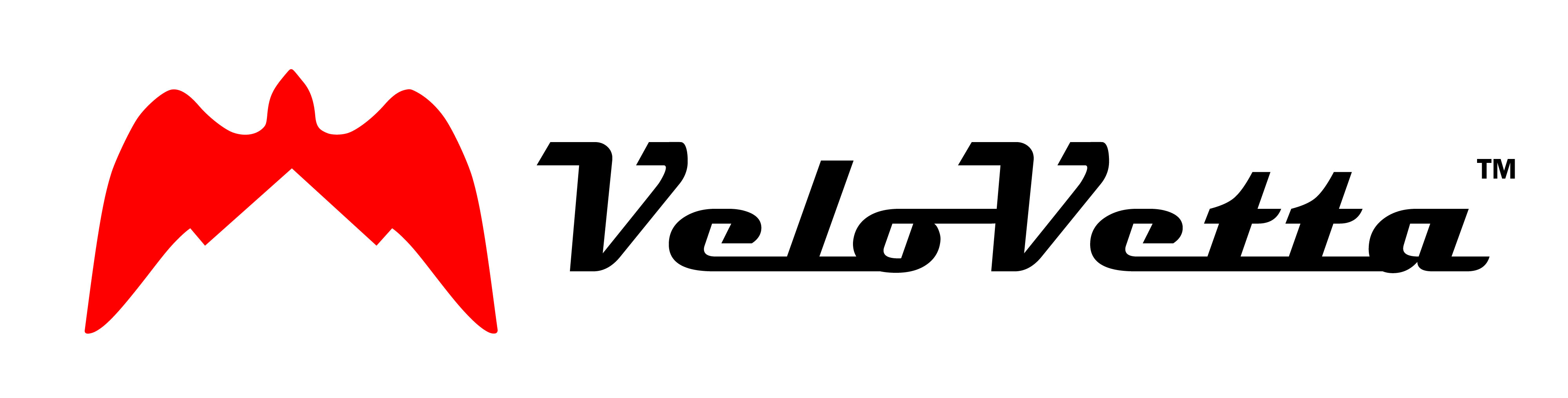 VeloVetta logo